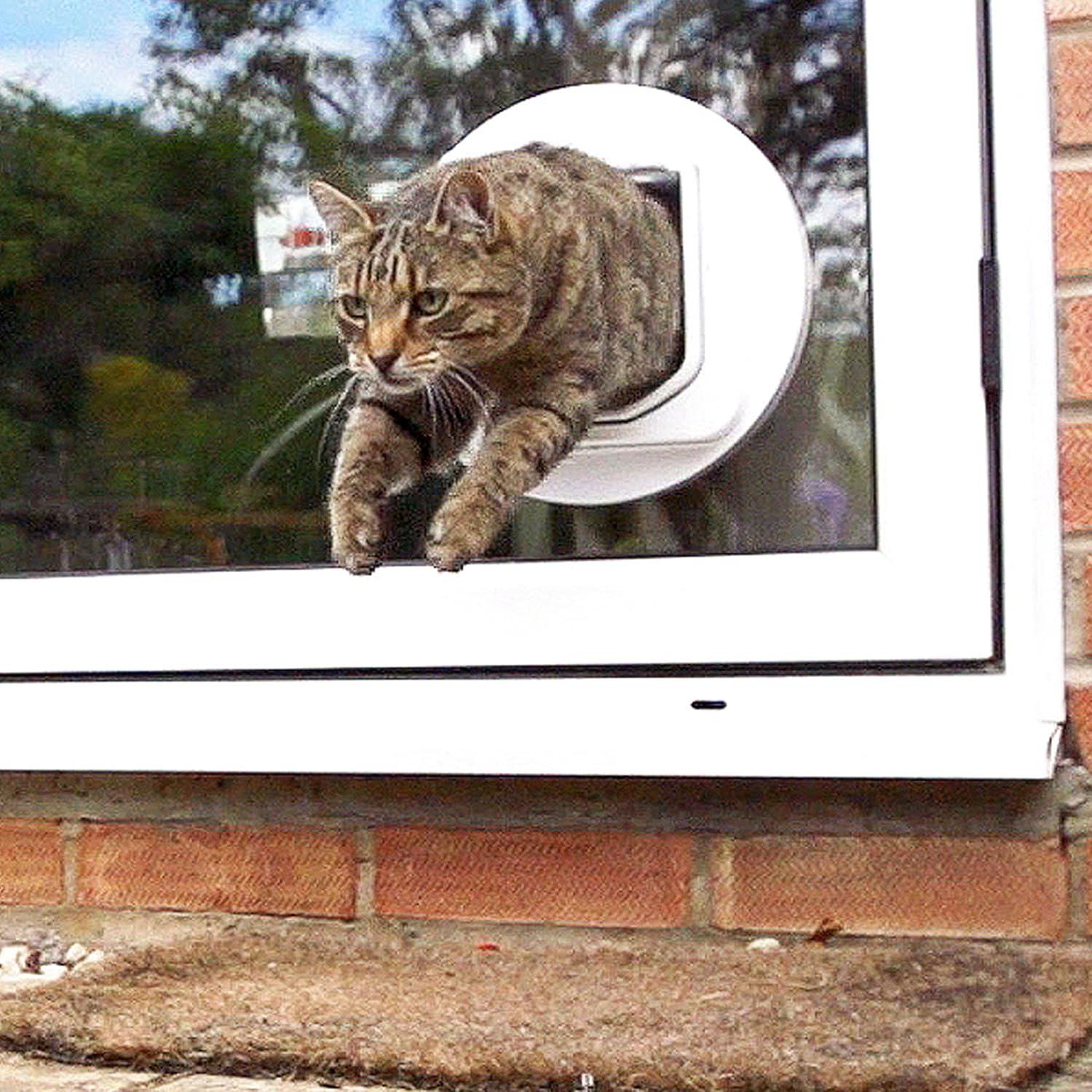 image:imageSureFlap DualScan Microchip Cat Door Door Opening is 4 34 H x 5 58 W